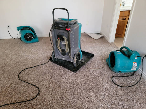 Best Ceiling water damage repair  in Ensley, FL