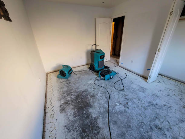 Best Professional water damage repair  in Ensley, FL