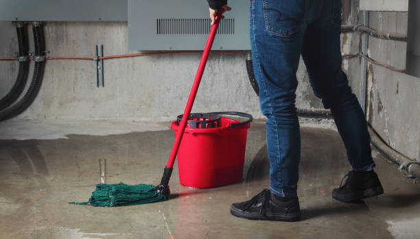 Best Mold removal after water damage  in Ensley, FL