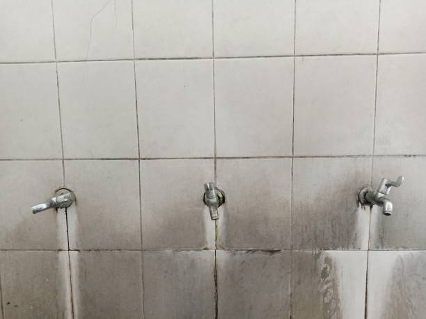 Best Ceiling water damage repair  in Ensley, FL