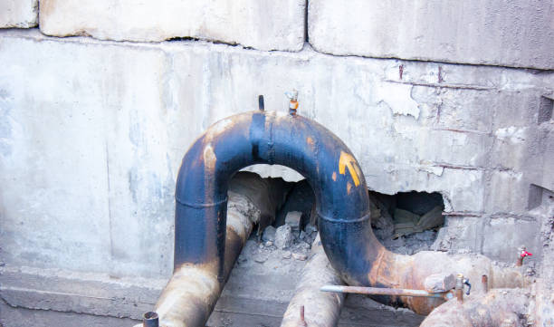 Best Basement water damage restoration  in Ensley, FL