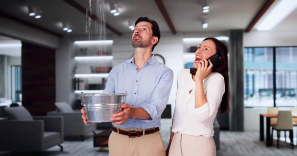 Best Basement water damage restoration  in Ensley, FL